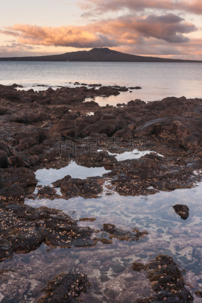 朗伊托托岛,hauraki gulf islands,潮水坑,垂直画幅,天空,沙子,无人,曙暮光,户外,戏剧性的天空