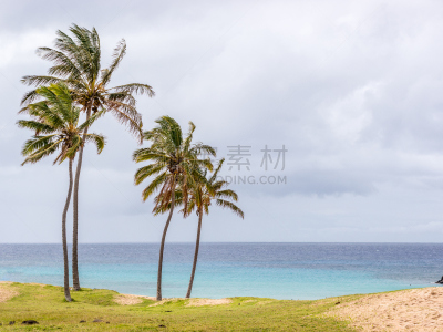海滩,安纳根纳,看风景,魔法,水,天空,公园,水平画幅,云,沙子