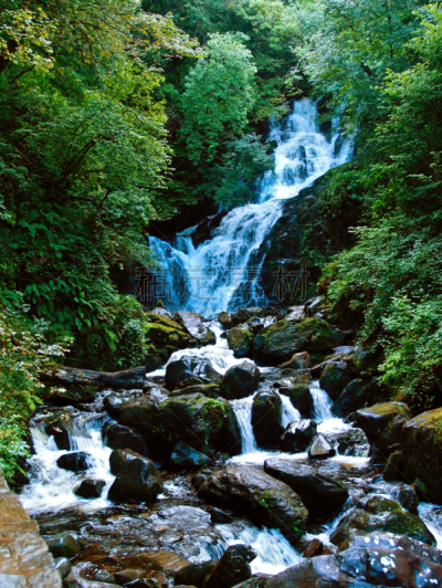 瀑布,爱尔兰共和国,国家森林公园,基拉尼,river kenmare,麦克劳斯湖,莫克罗丝别墅,克俐环,凯瑞郡,垂直画幅