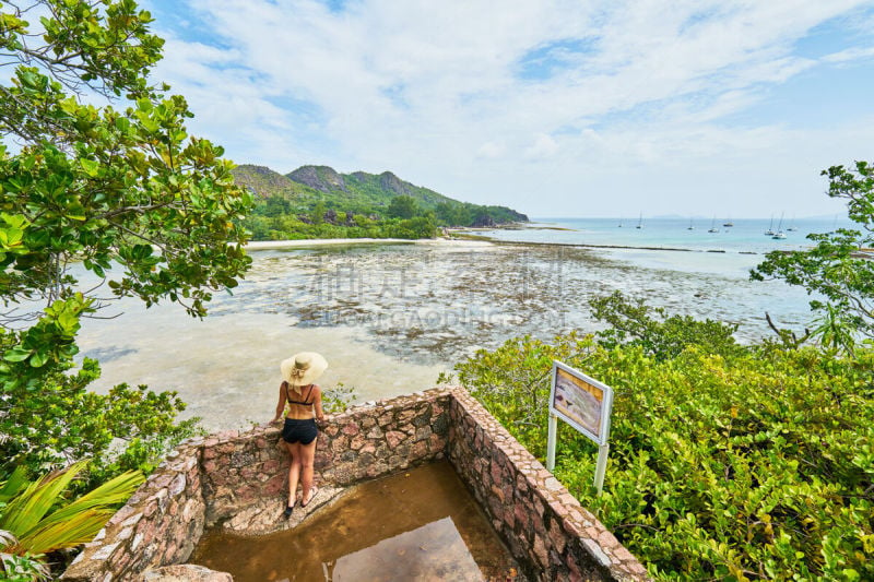 海滩,塞舌尔,岛,小路,旅行者,海岸地形,圣马洛,女人,水,美