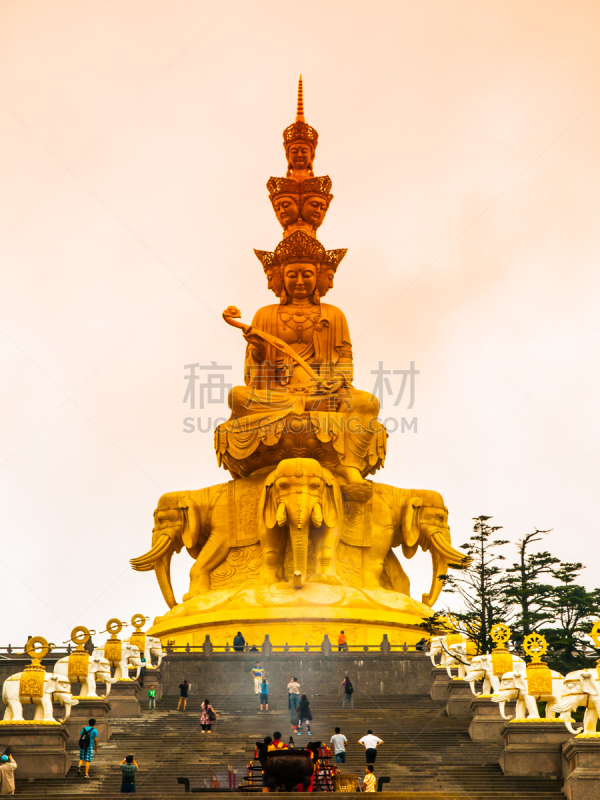 金佛寺,峨眉山,涅槃,掸邦,四川省,垂直画幅,灵性,荷花,无人,巨大的