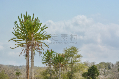 地形,非洲,化妆舞会服,天空,美,水平画幅,安哥拉,云,无人,传统
