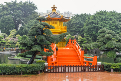 南莲园池,唐朝,盆景,亭台楼阁,九龙,宝塔,睡莲,古典风格,名声,池塘