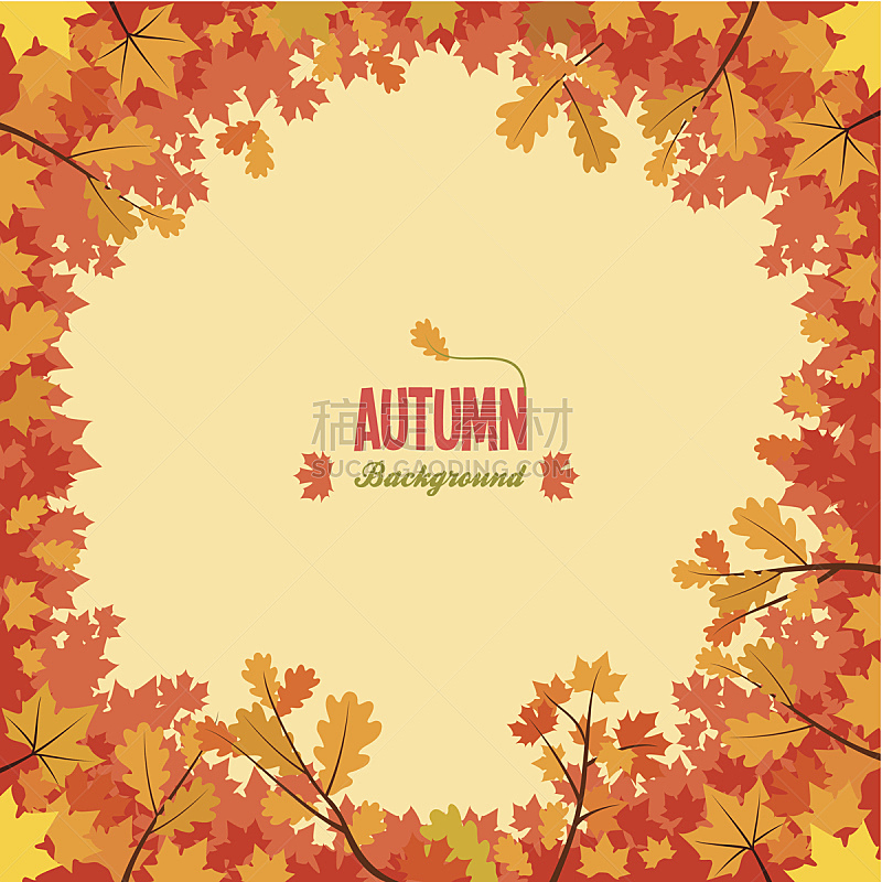 背景,秋天,叶子,九月,华丽的,纹理效果,十月,边框,橙色,壁纸