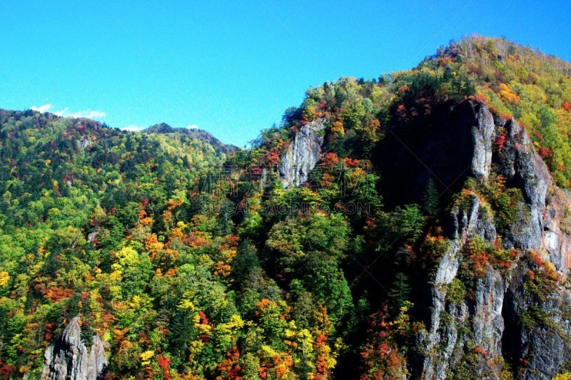 秋天,丹姆,札幌,北海道,温泉,水平画幅,枫叶,无人,枫树,晕影效果