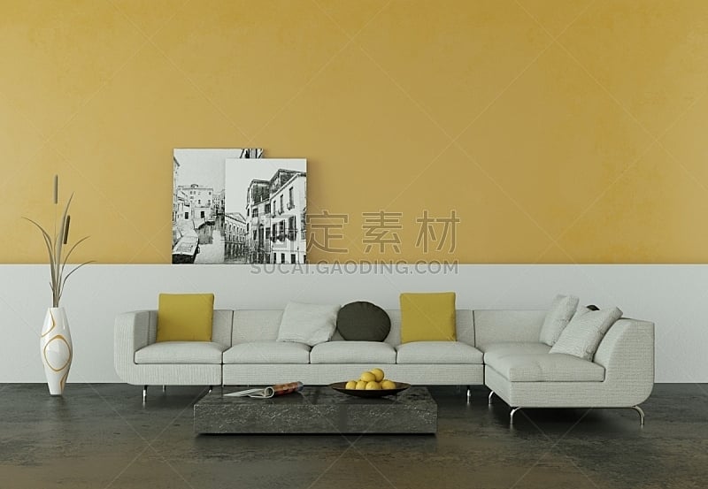 沙发,现代,白色,明亮,室内设计师,住宅房间,茶几,华贵,砖,小毯子