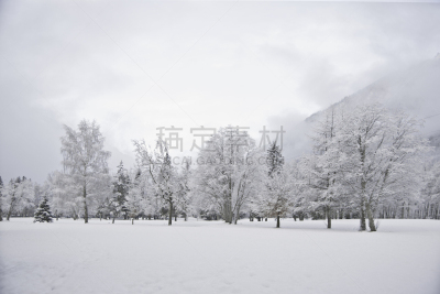 冬天,地形,木制,大木河,冰雪风暴,气象学家,白雪公主,爱达荷,美,水平画幅