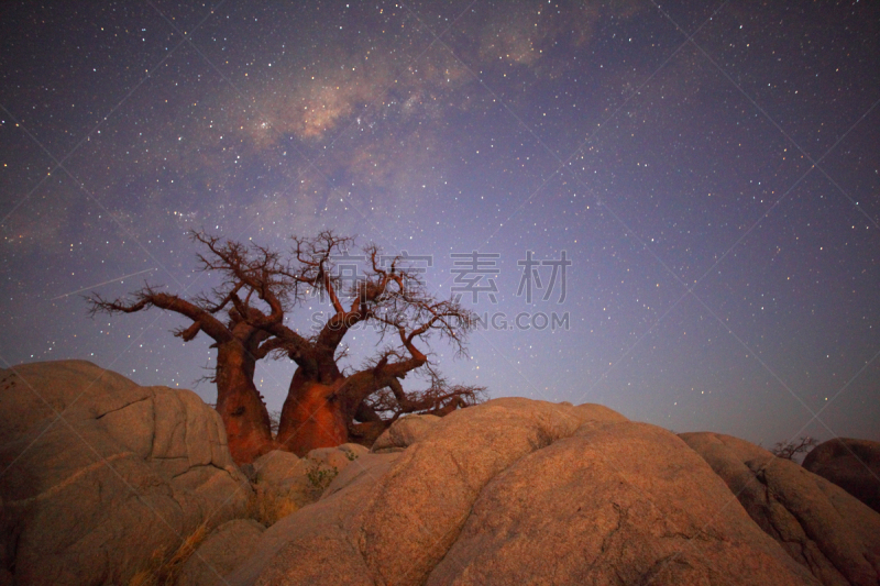 猴面包树,街道,在下面,库布人,喀拉哈里沙漠,流星,银河系,天空,水平画幅,夜晚