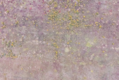 簇叶从生的,草,风景,田地,农业,草坪,清新,环境,环境保护,枝繁叶茂