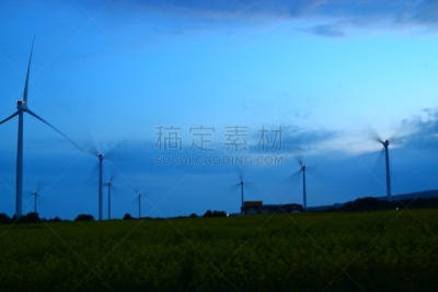 春天,油菜花,广场,樱桃树,秘密,风,云,环境保护,著名景点,韩国