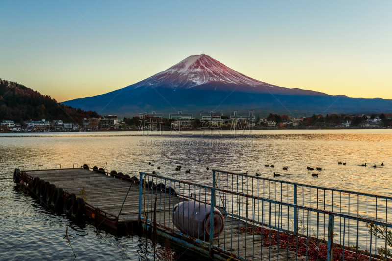 富士山,日本,湖,富士河口湖,河口湖,自然,旅游目的地,水平画幅,雪,无人