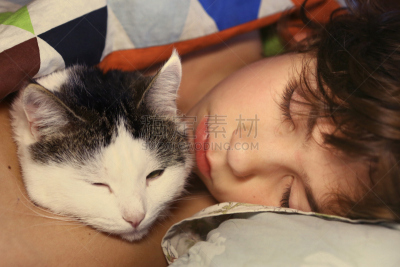 青春期前儿童,男孩,床,猫,男性美,水平画幅,夜晚,癣菌,早晨,特写