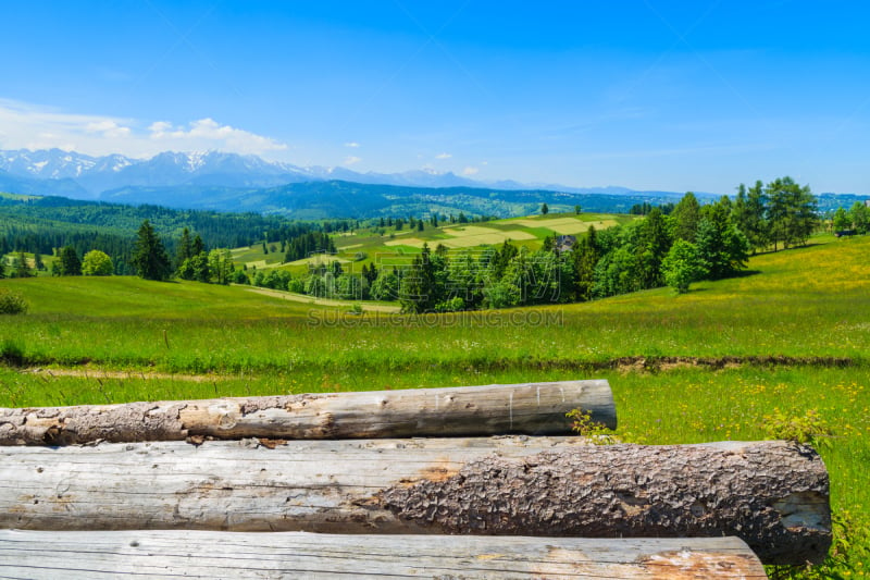 Wood logs on green meadow with mountains view, Lapszanka, Tatra Mountains