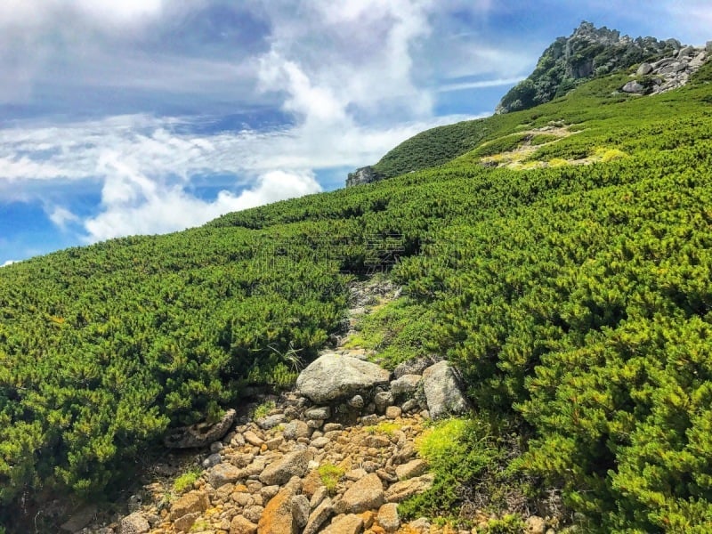 卷着的,千畳敷,长野县,长野县驹根市,草,岩石,户外,天空,晴朗,日本