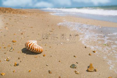 鹦鹉螺,海滩,自然,水,悬崖,地名,水平画幅,在边上,夏天,太阳