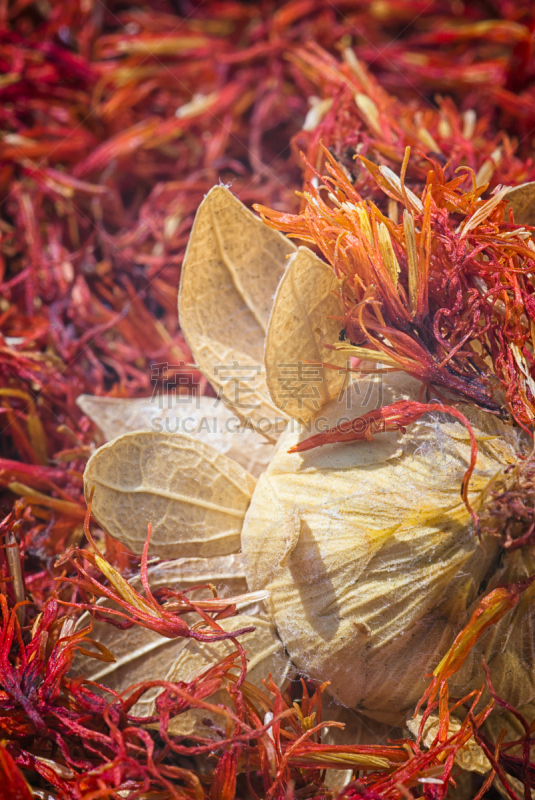 草红花,藏红花,人造的,垂直画幅,美国,香料,干的,替代,草本,调味品