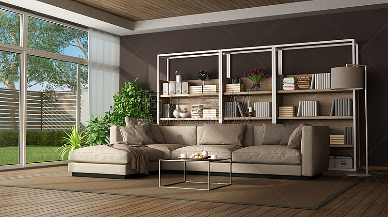褐色,起居室,沙发,书架,室内,白昼,组物体,白色,木制,硬木