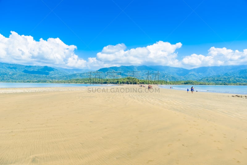 哥斯达黎加,海滩,太平洋海岸,热带雨林,马力诺,自然美,热带树,滨水,寂寞,旅途