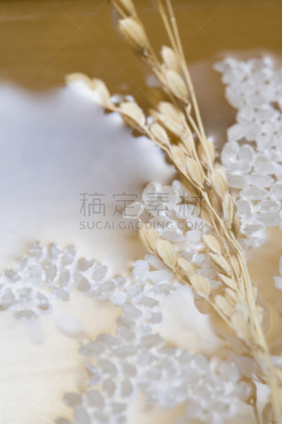 米,垂直画幅,水,无人,湿,干净,草,静物,生活方式