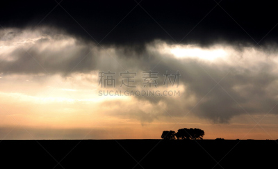 地平线,cork tree,阿连特茹,水平画幅,无人,地平面,户外,摄影,树,日出