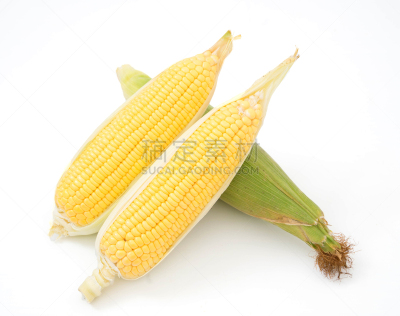 清新,玉米,分离着色,白色背景,可爱的,农业,黄色,蔬菜,生食,背景分离