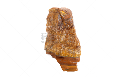 动物眼睛,矿物质,虎,石材,圣伯纳犬,纯种犬,白色背景,大特写,背景分离,灰色
