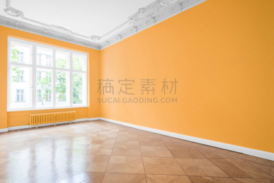 空的,公寓,住宅房间,现代,硬木地板,纽帕尔兹,新艺术主义,1900年至1909年,道路工程,修复
