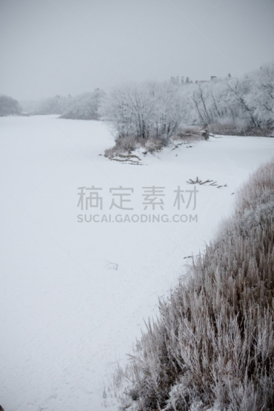 河流,寒冷,红河,环境,从容态度,霜,雪,天气,加拿大,温尼伯