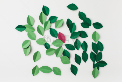 叶子,绿色,堆,纸,混沌,褐色,水平画幅,九月,干的,特写