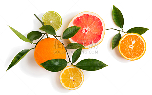 柑橘属,嫩枝,与众不同,橙子,葡萄柚,水果,背景分离,一半的,枝,酸橙