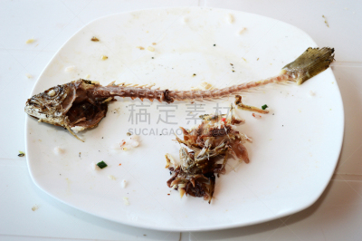 格子烤肉,盘子,鱼类,毛石,人的头部,水平画幅,海产,动物身体部位,罗非鱼,马达加斯加