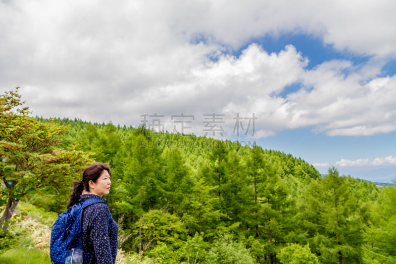 yachiho,日本,徒步旅行,旅途,苏格兰高地,沃金市,巴岳山,白桦树,长野县,高原