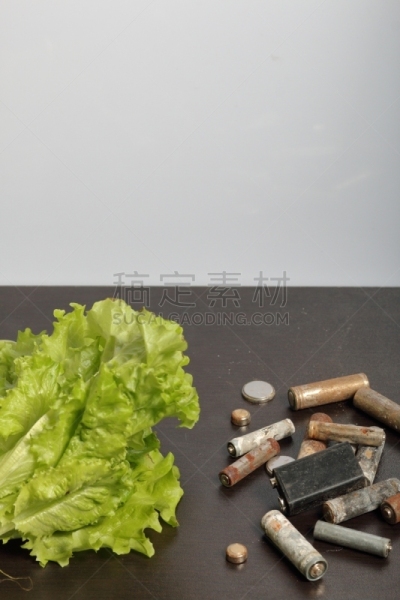 环境保护,电池,循环利用,锅,地球日,莴苣,绿色,活力,农业,有毒废物