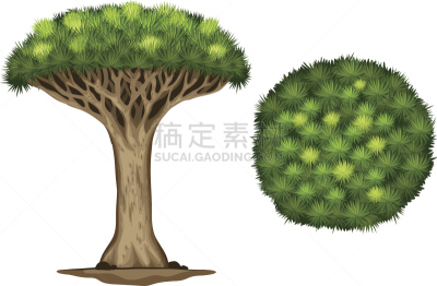 龙血树,牙膏,索科特龙血树,无人,绘画插图,计算机制图,计算机图形学,姿态优美,索科特拉岛,龙