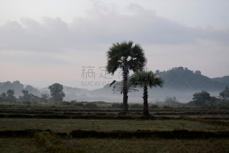 缅甸,亚洲,丹老,地形,自然,丹老群岛,水平画幅,无人,早晨,摄影