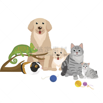 狗,住宅内部,宠物,家畜,野生猫科动物,仓鼠,金鱼,鹦鹉,部分,背景分离