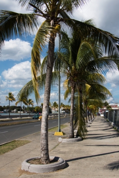 Passeo el Prado