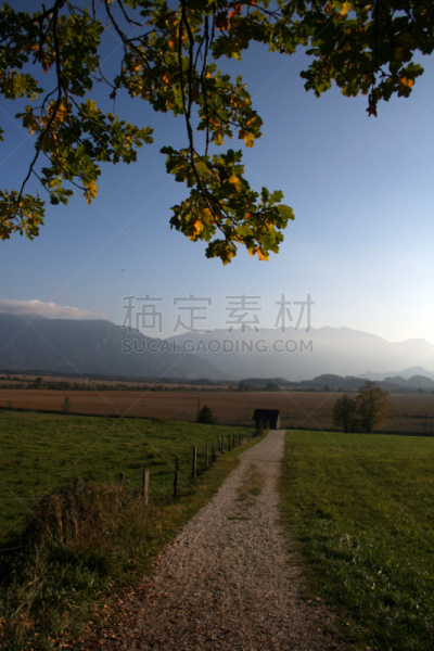 murnauer moos,街道,自然,垂直画幅,草地,秋天,无人,垫脚石,户外,房屋