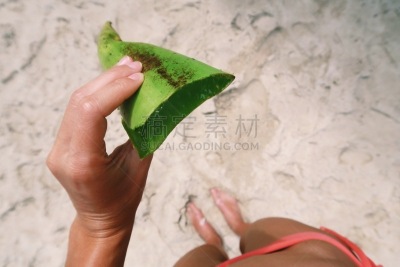 海滩,拿着,芦荟,青年女人,沙子,叶子,选择对焦,水平画幅,夏天,特写