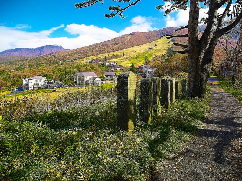 日本,地形,无人,daisen,秋天,风景,图像,水平画幅,山,通路