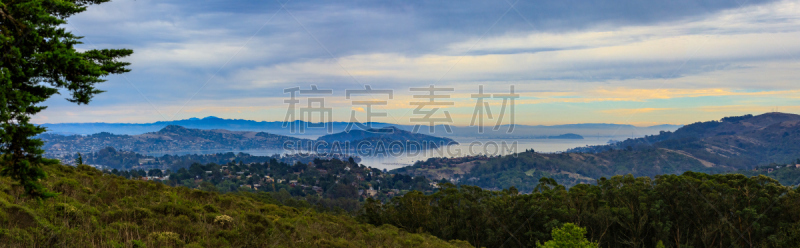 雾,加利福尼亚,湾区,天空,美,美国西部,水平画幅,枝繁叶茂,云,山
