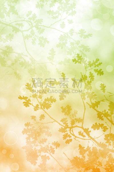叶子,背景,垂直画幅,秋天,无人,散焦,绘画插图,色彩渐变,柔和色,枝