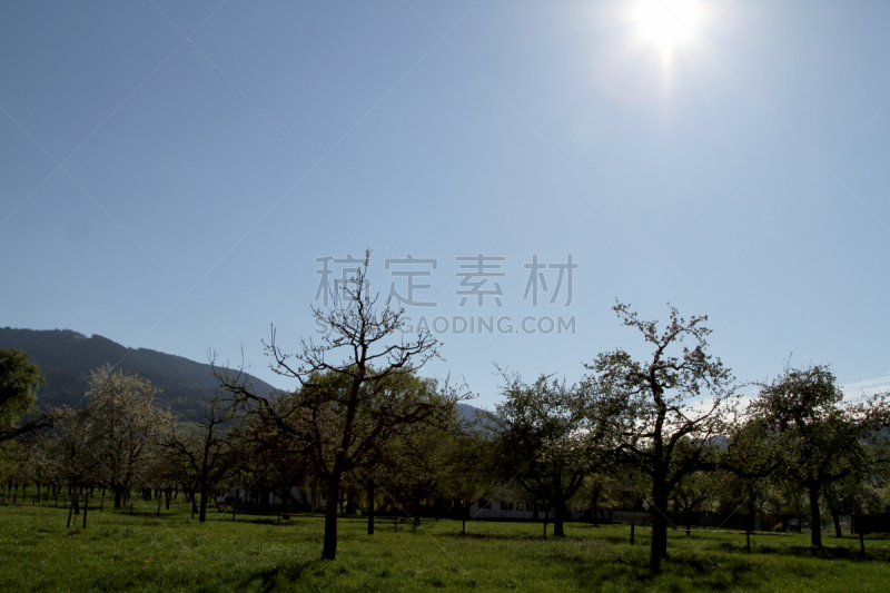 巴伐利亚,巴伐利亚塑像,自然,水平画幅,无人,乡村,户外,房屋,苹果,山
