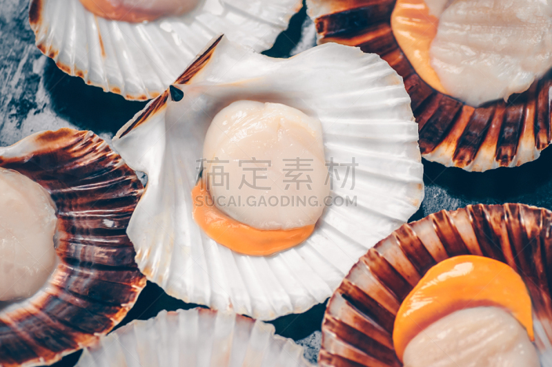 扇贝,清新,美味,背景,餐具,水平画幅,贻贝,软体动物,开胃品,生食