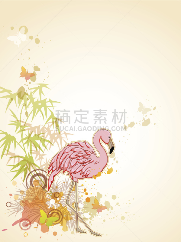 火烈鸟,粉色,自然,热带鸟,点状,绿色,橙色,蝴蝶,无人,鸟类