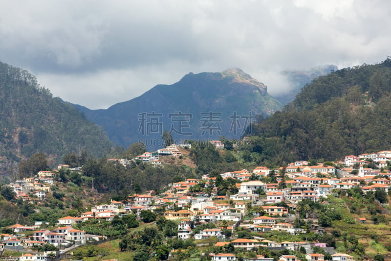 丰沙尔,全景,葡萄牙,马德拉群岛,视角,大西洋,著名景点,海岸线,卡马拉罗伯斯,夏天