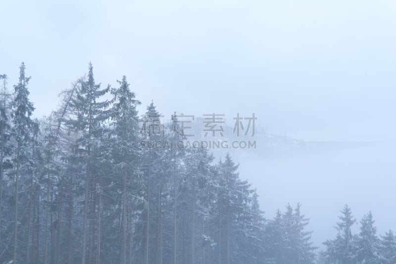 冬天,山,雾,哈兹国家公园,哈尔茨山,水平画幅,雪,无人,户外,针叶树