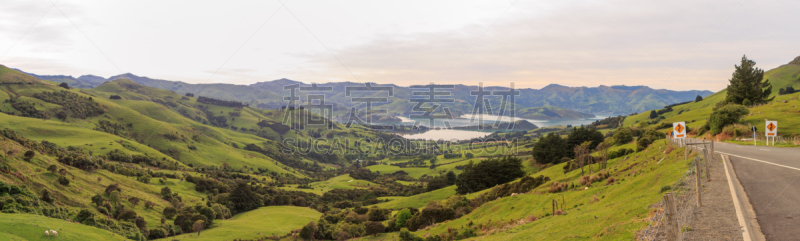 全景,akaroa,新西兰坎特伯雷地区,新西兰,水平画幅,绿色,无人,山谷,户外,田园风光