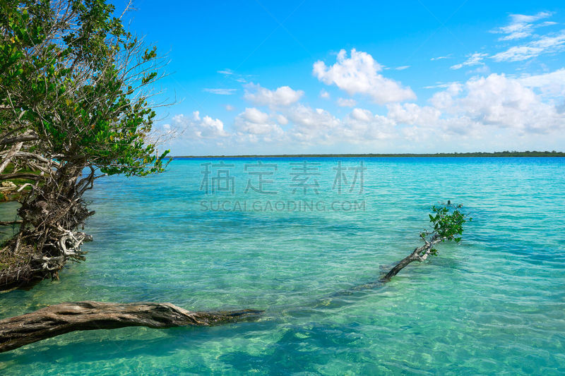 泻湖,墨西哥,特拉华,拉古娜海滩,水,天空,水平画幅,沙子,无人,夏天