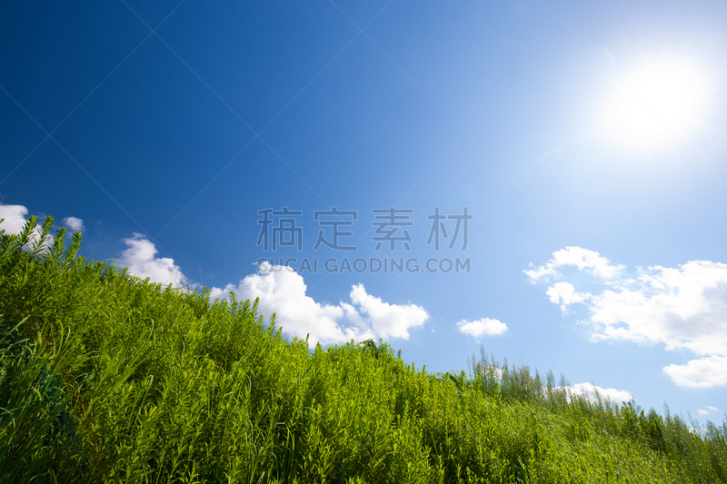 蓝色,云景,天空,足立区,留白,草原,水平画幅,无人,夏天,东京